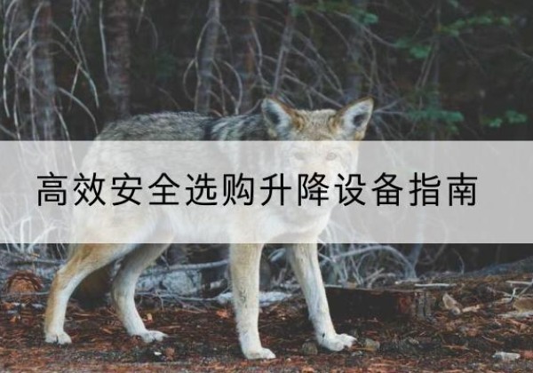 色达升降货梯厂家推荐-*安全选购升降设备指南