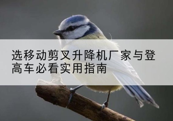 色达电动升降机厂家-选移动剪叉升降机厂家与登高车必看实用指南